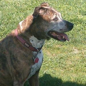 Meet your Posher, Marc